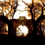 Sunset on Ruins