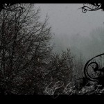 Winter Forest